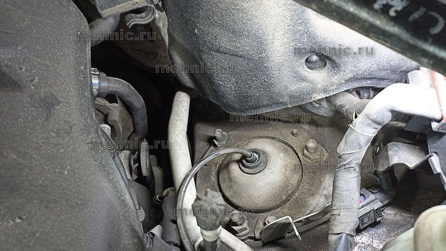 Крупеж сверху Крупеж сверху